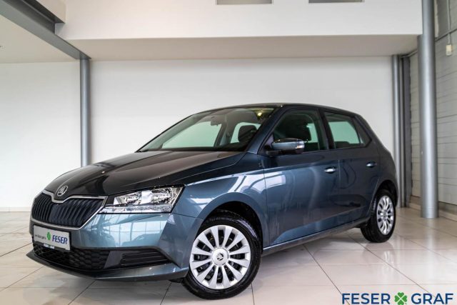 Skoda Fabia 1.0 MPI COOL PLUS KLIMA+TELEFON -  Leasing ohne Anzahlung - 135,00 €