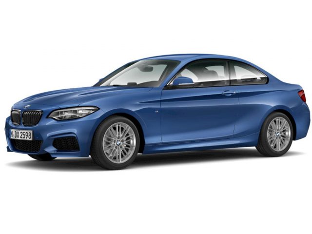 BMW 2er 218d Coupé EURO6 Sportpaket DAB Navi Bus. RTTI Sp.Limit USB -  Leasing ohne Anzahlung - 0,00 €