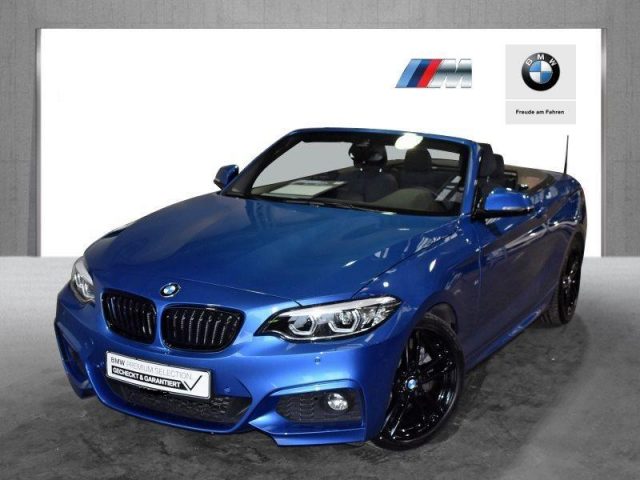 BMW 220 220i Cabrio EURO6 Sportpaket LED Navi Prof. RTTI Lenkradhz. -  Leasing ohne Anzahlung - 446,75 €