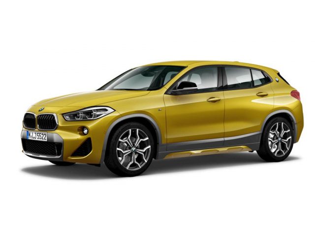 BMW X2 xdrive 18 d eu6d M Sport LED AHK Park-Assistent -  Leasing ohne Anzahlung - 299,00 €