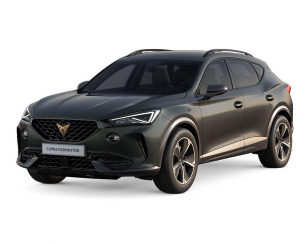 Cupra Formentor 1.5 TSI 150 VollLED Nav Kam PDC 18Z -  Leasing ohne Anzahlung - 348,00 €